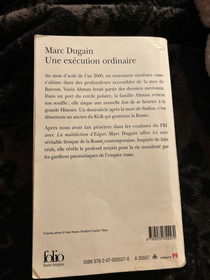 une exécution ordinaire - photo numéro 2