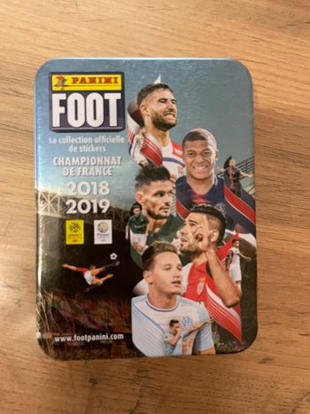 Panini foot 2018-2019
