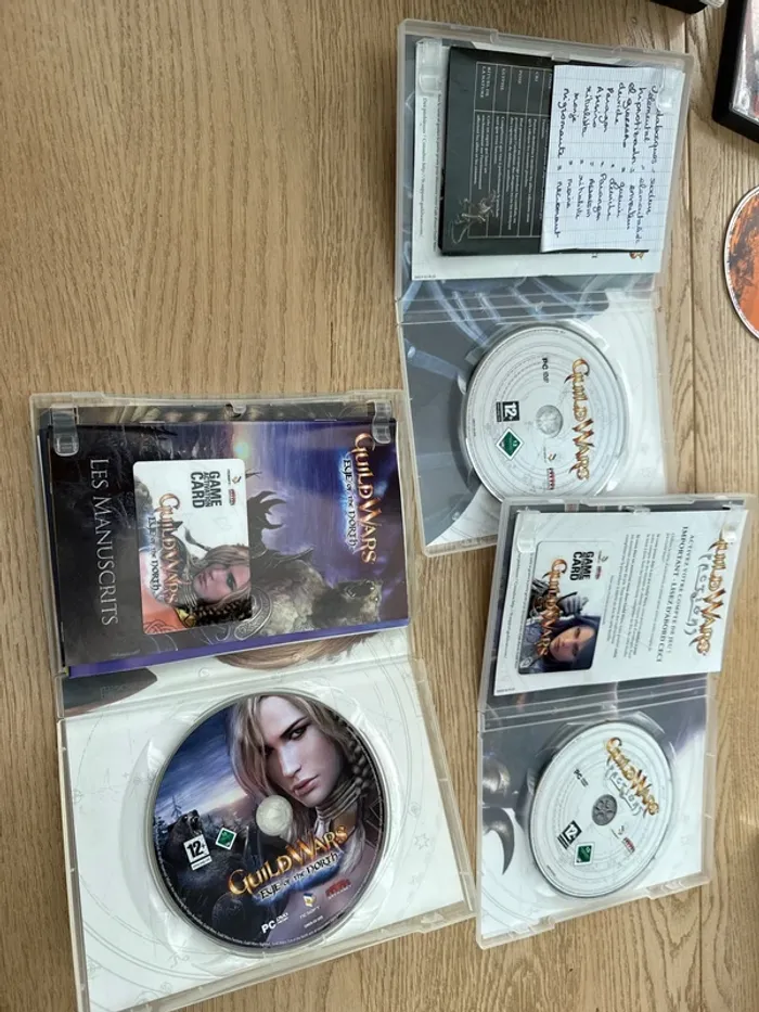 Jeux Guildwars - photo numéro 3