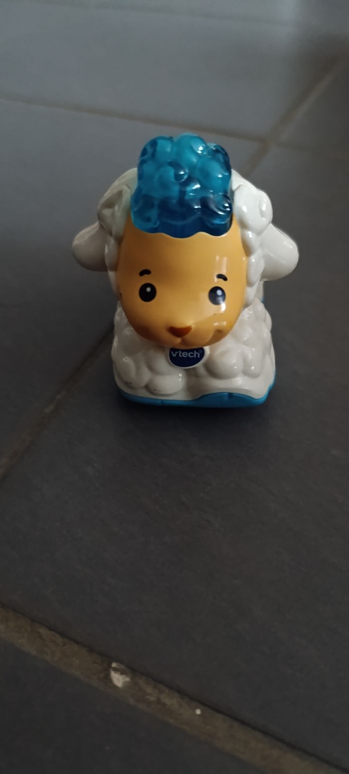 Tutut animo - photo numéro 5