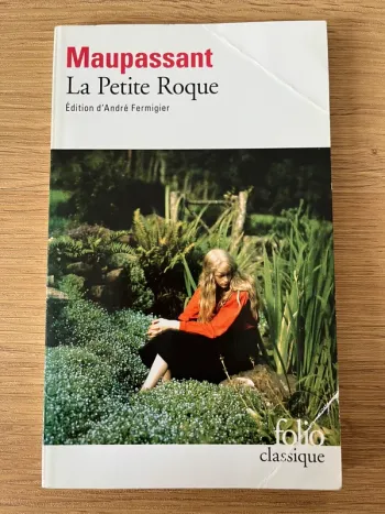 Livre La petite Roque