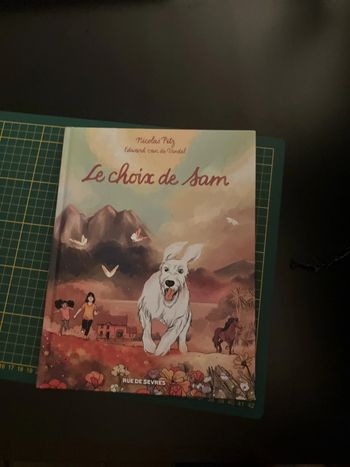 Le choix de sam