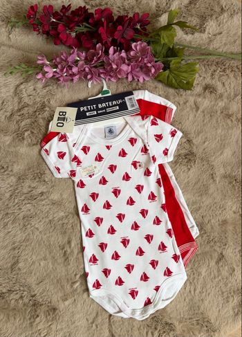 Lot de 3 bodies manches courtes en coton