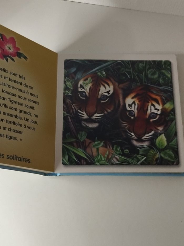 Livre enfant 3 5 ans regardez nous sommes tigres - photo numéro 5