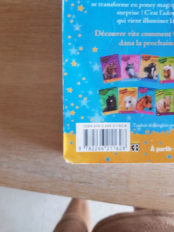 Le carrousel magique - Sue Bentley - photo numéro 3