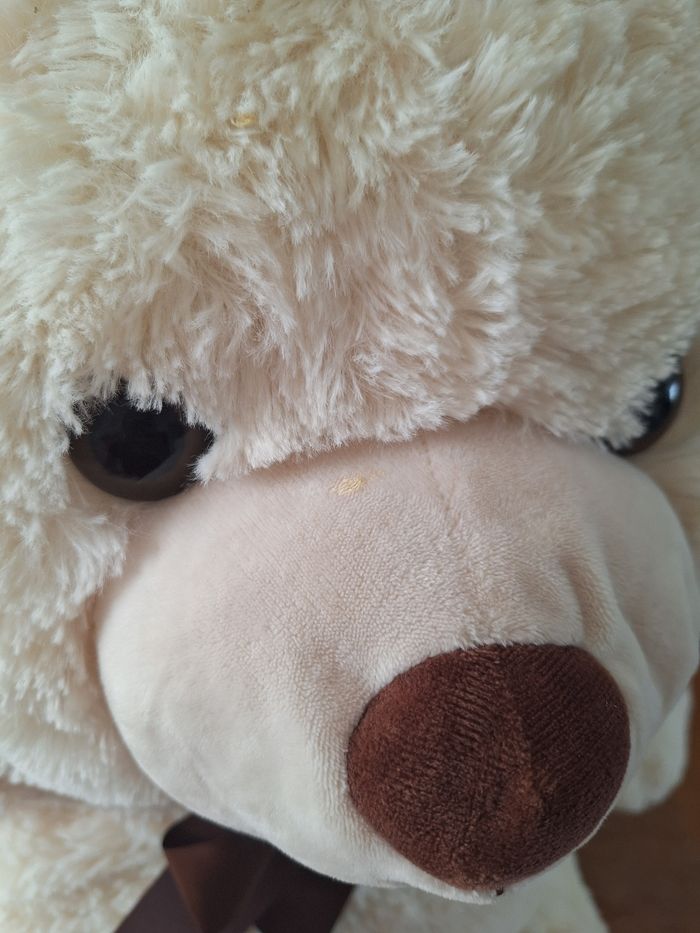 Ours en peluche - photo numéro 5