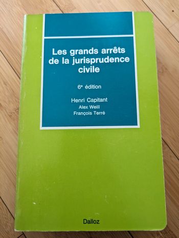 Les grands arrêts de la jurisprudence civile