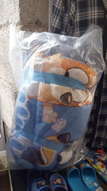 Matelas 3d bluey