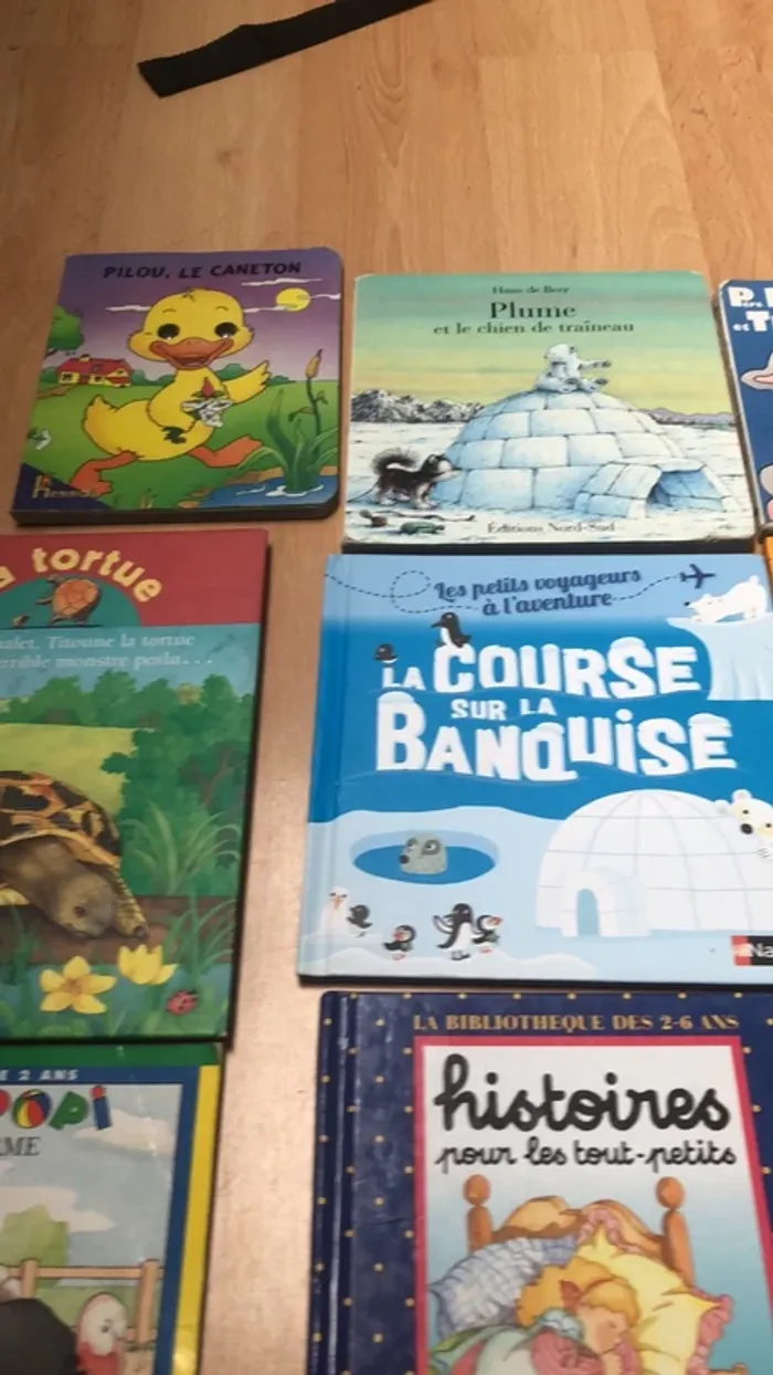 Lots de 16 livres pour enfant - photo numéro 4