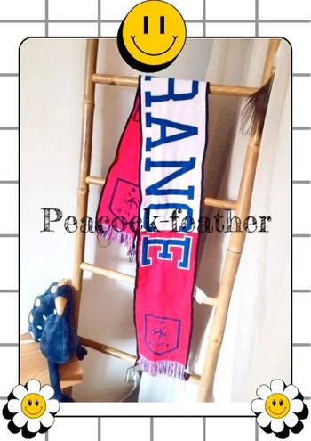 Écharpe France foot FFF