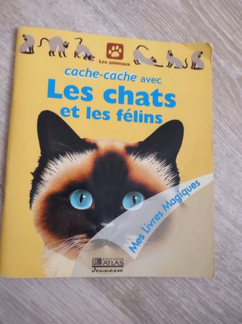 Mes livres magiques Cache cache avec les chats et les félins