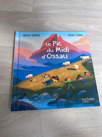 Livre enfant collection hachette