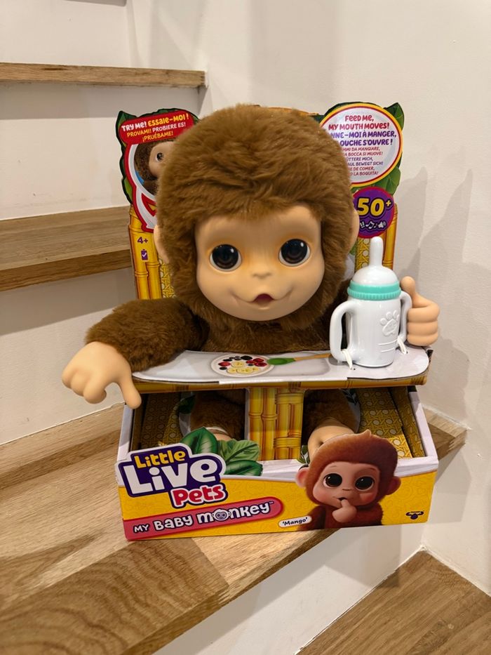 Singe Little live pets