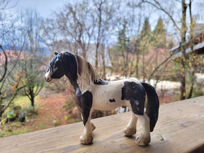 Lot de 2 Chevaux Scheich : 1 marron tâché blanc et un brun crinière blanche - photo numéro 2