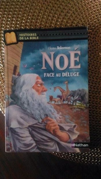 Noé face au déluge