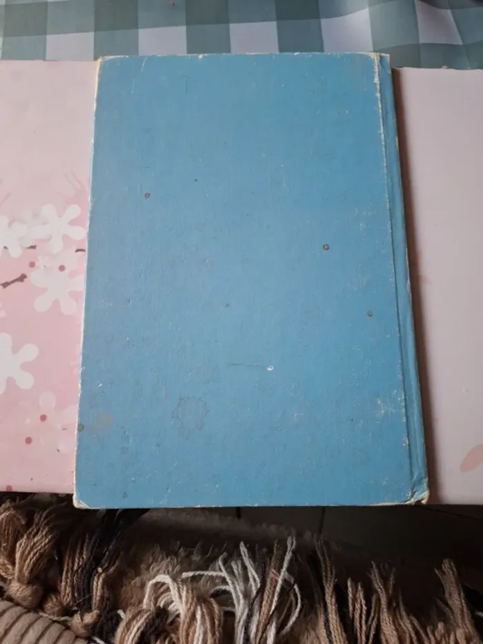 Winnie l'ourson dans la tempête - photo numéro 2