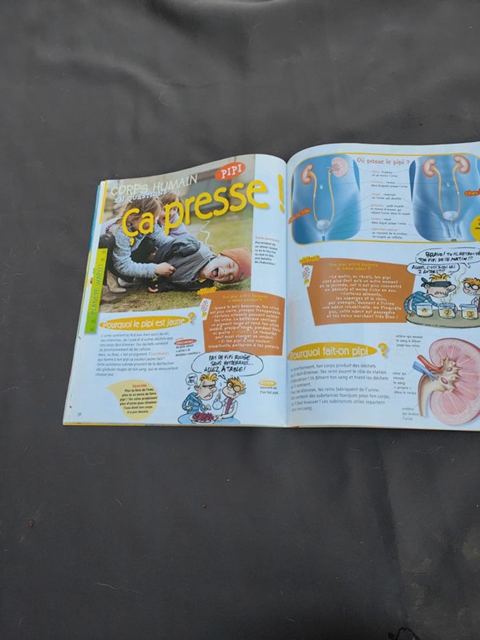 Wapiti quel temps fait il - photo numéro 6