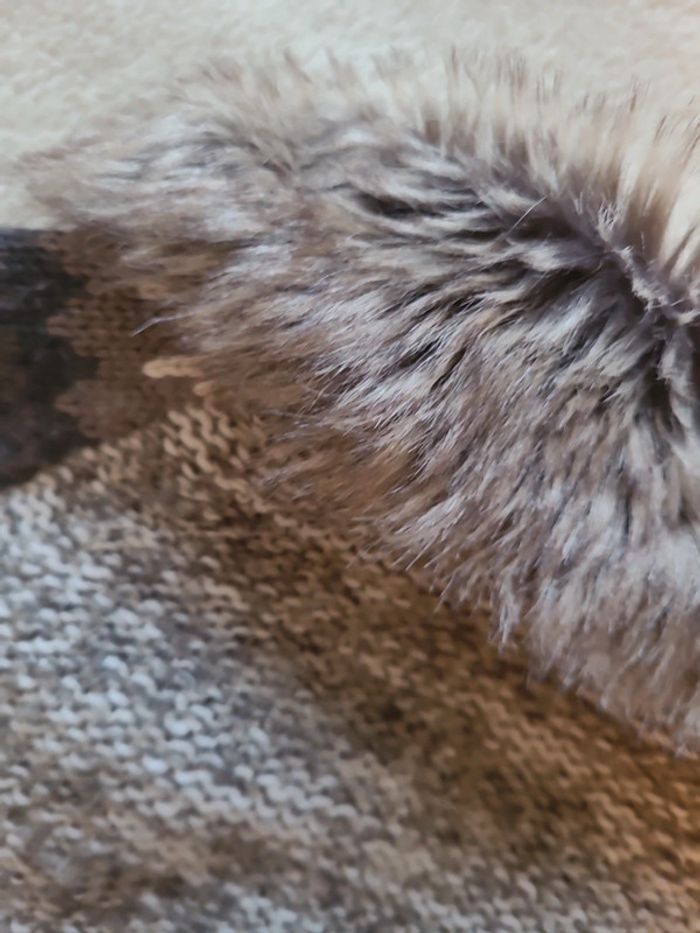 Gilet tricot fillette 18 mois - photo numéro 3