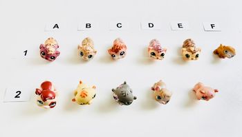 Petshop Cochon d’Inde - 2€ l’unité