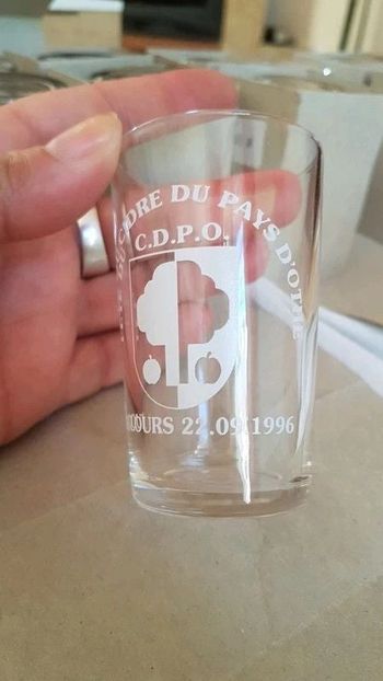 Lot de 12 verres de dégustation de cidre