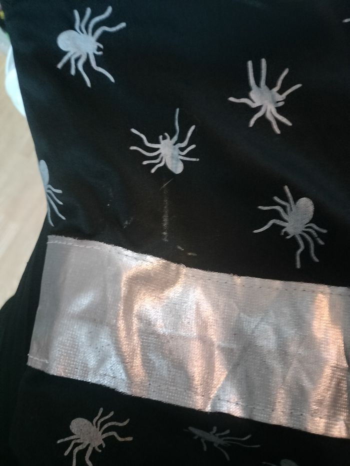 Déguisement sorciere - photo numéro 4