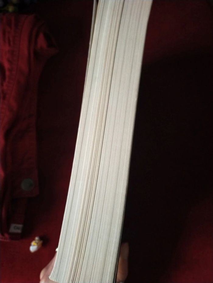 Livre les dernières heures - photo numéro 4