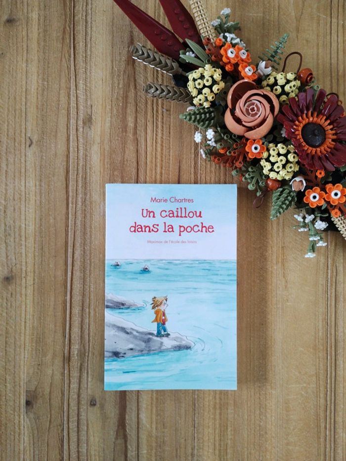 Un Caillou dans la poche - Niveau CM1 - Marie Chartres