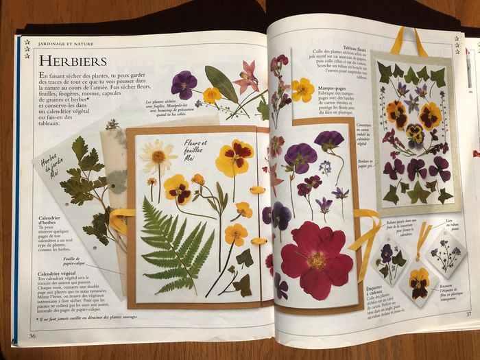 Je m’amuse les jours de pluie - photo numéro 3