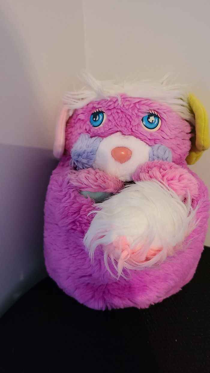 popples - photo numéro 4