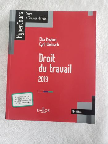 Droit du travail 2019