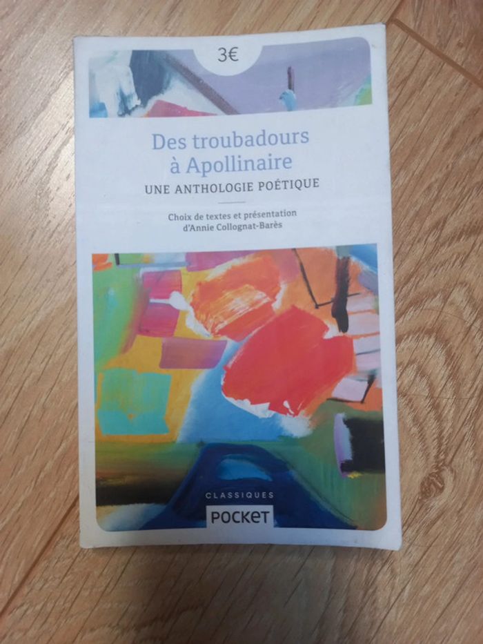Des troubadours à Apollinaire