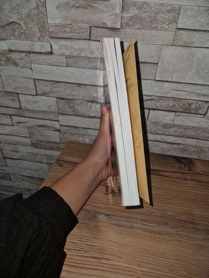 Livre - photo numéro 3