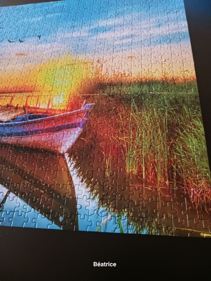 Pulzze 1000 pieces - photo numéro 5