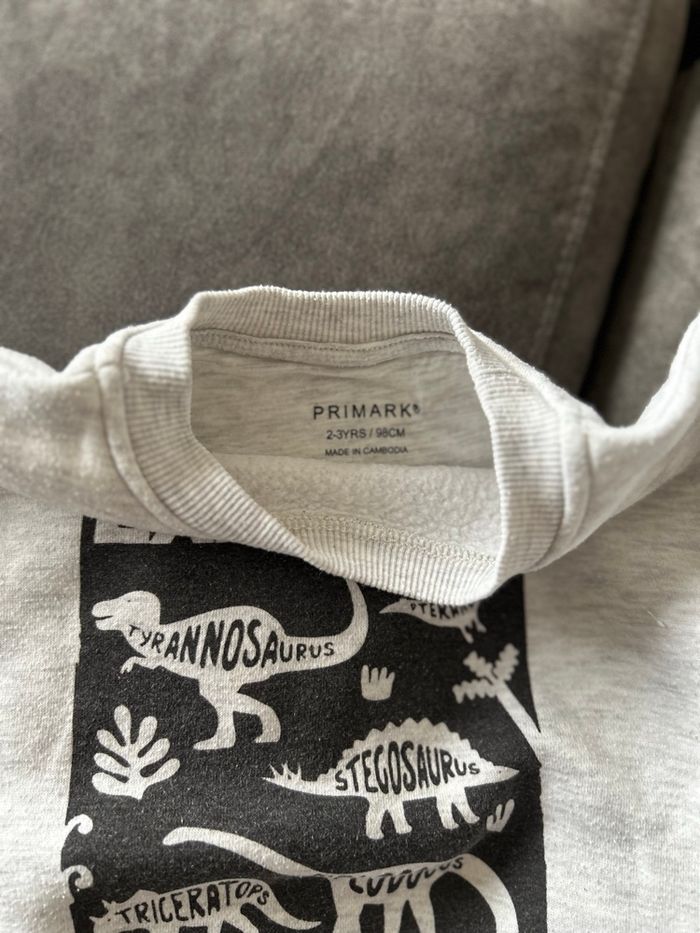 Sweat dinosaure  2-3 ans