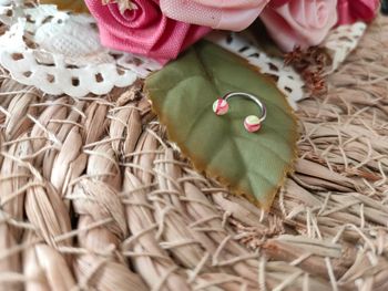 🌿Piercing anneau tricolore 🌿