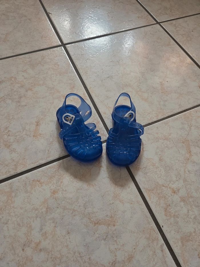 Méduse bleu