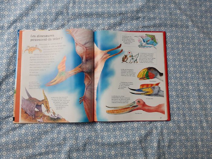 Livre enfants questions réponses au temps des dinosaures - photo numéro 3