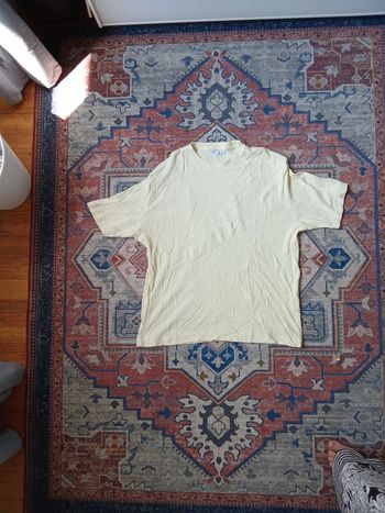 T shirt zara
