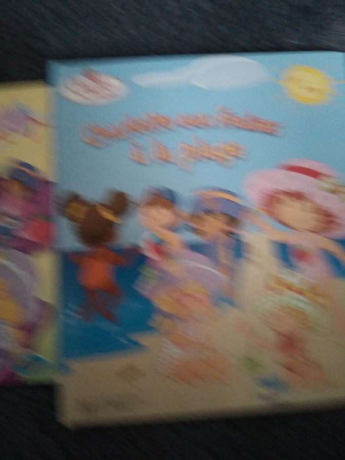 Lot Charlotte aux fraises - photo numéro 4