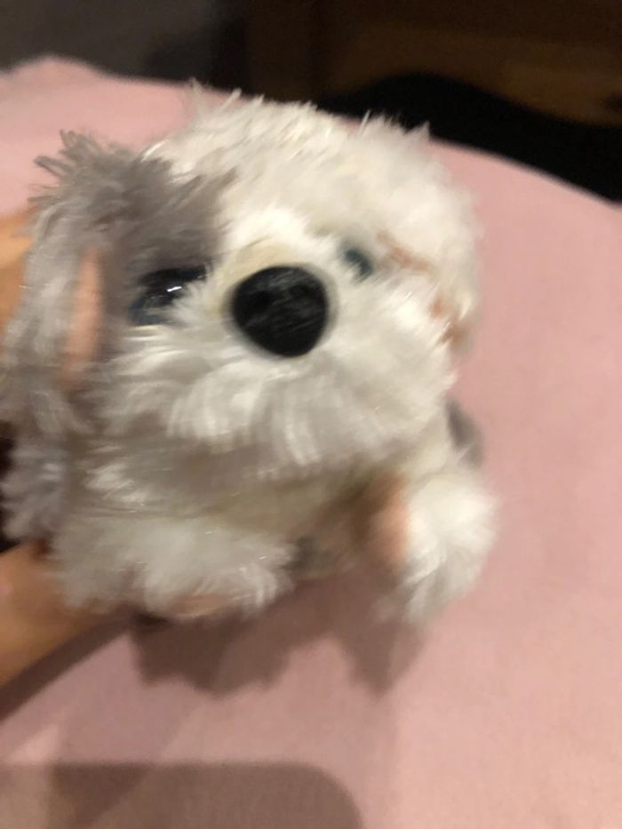 Chien en peluche - photo numéro 2