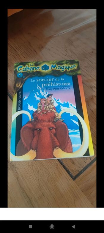 Livre la cabane magique numéro 6