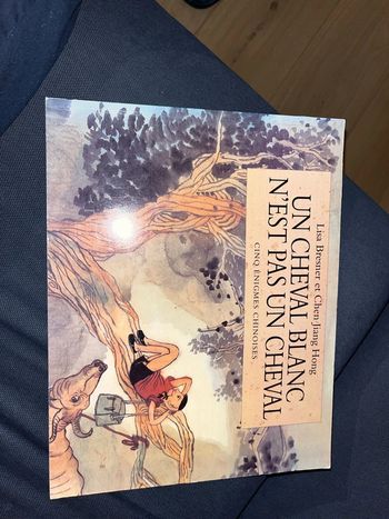 Livre pour enfants un cheval blanc n est pas un cheval par Lisa bresner et Chen Jiang Hong