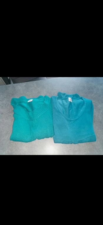 Lot de 2 pulls femme talle 42.