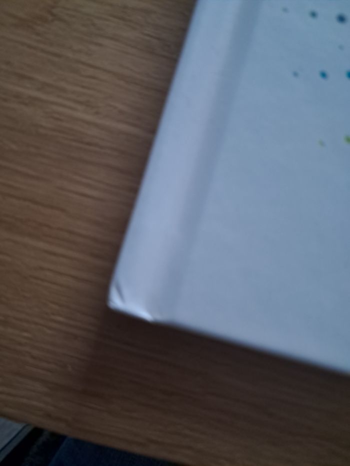 La licorne qui n'aimait pas les paillettes - photo numéro 4