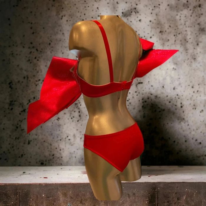 Magnifique ensemble lingerie rouge 85B - photo numéro 2