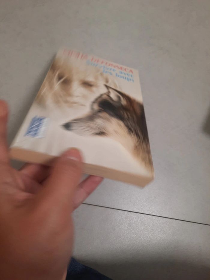 Pocket jeune adulte - photo numéro 3