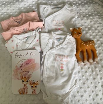 Lot 5 bodies