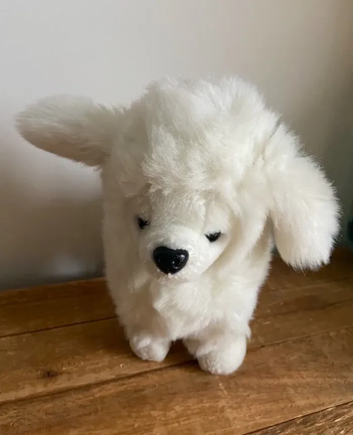 🤍 Peluche chien caniche 🐩 blanc - photo numéro 2
