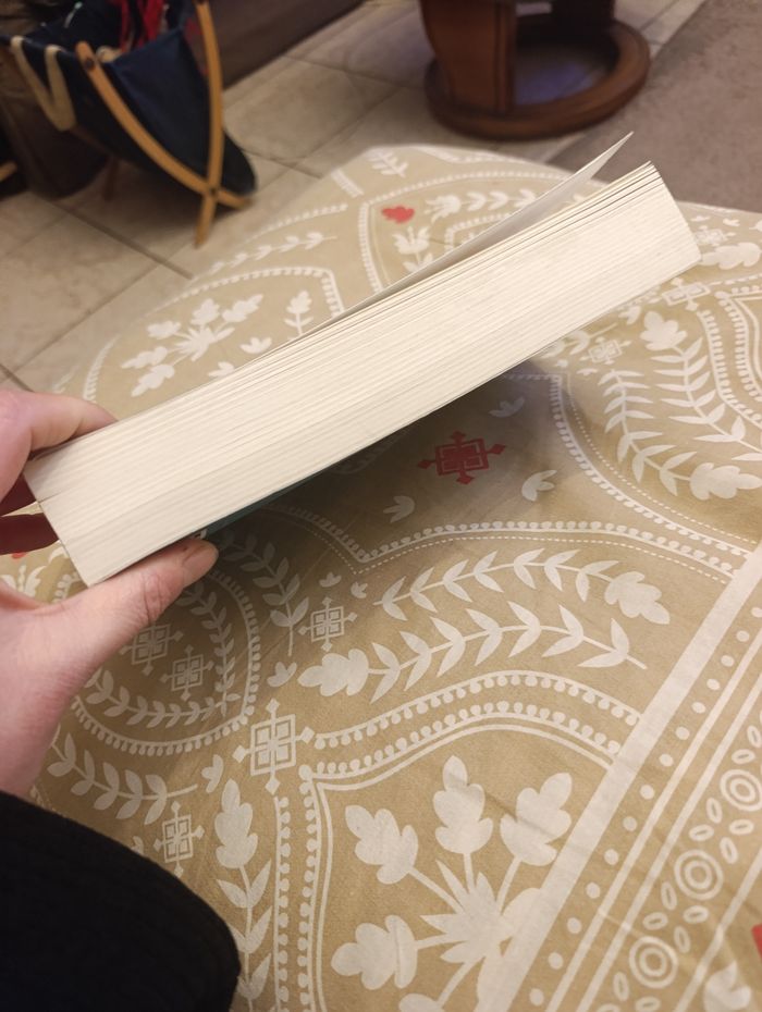 Marc Levy - Un sentiment plus fort que la peur - photo numéro 4