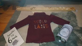 Tee shirt manches longues kiabi taille 6 mois très sympa